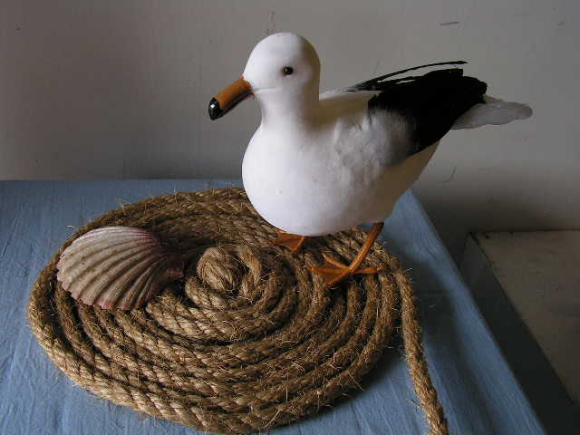 BIRD, Seagull - Standing